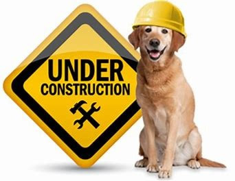 Picture of dog wearing a helmet, next to a sign saying Under Construction.